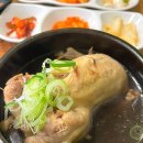 약초마을 | [서울/양재시민의숲역] 양시숲 직장인 따듯하고 몸 보신할 수 있는 식당, 약초마을 서초점(삼계탕 후기)