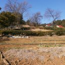 석전동161 이미지