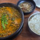 정드림식당 | 국밥보다 가성비 좋았다｜정드림 흑염소탕 내돈내산 후기