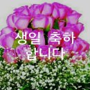 돈다발 - 서구 월평북로 11 | 돈다발