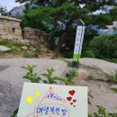 혜안마트 이미지