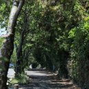 버스정류장 06-293 | 제주 서귀포 사찰 여행 약천사 템플스테이 독특한 분위기 방문후기 주차장