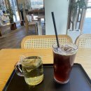 왕버들로 이미지