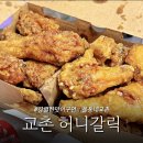 교촌치킨 | 교촌 허니갈릭 치킨 후기 강렬하다