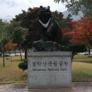 들무새 이미지