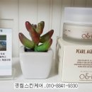 신호1길 1, (교현동) 이미지