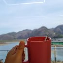 탄방동카페 우드바이우드, 옥천포인트커피, 둔산동 홍대개미 큐브스테이크덮밥, 반석샤브뜰애 편백찜 후기