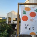 냠냠제주