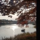 장자호수공원 생태체험관 이미지