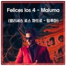 펠리세스 이미지