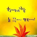 감꽃별아이들 이미지