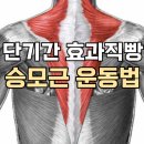 알앤디피티 이미지
