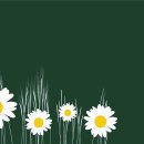 동암1호 이미지