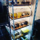 베타봉봉 이미지