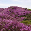 제166차 지리산바래봉 정기산행안내 이미지