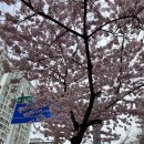 학익동 동아풍림아파트 앞 이미지