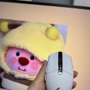 비제이피씨 | 배린이의 로지텍 G304 무선 마우스 사용 후기 (DPI 설정)
