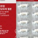 레디포맘