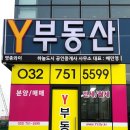 Y공인중개사사무소 이미지
