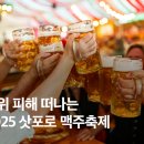 칵테일로 떠나는 세계여행 이미지