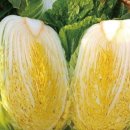 미니네건강밥상 이미지