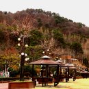 뿌리공원 이미지