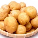 닥터사운드 이미지