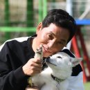 동물농장 이미지