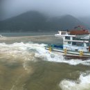 공공용 31 이미지