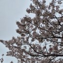 ***전남~목포,유달산,트레킹,***1,(오록,산악회) 이미지