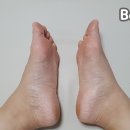 레푸스 방이역점 이미지