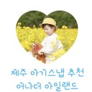 동일하모로220번길 | 제주 아기 스냅 추천 - 어나더 아일랜드 제주 스냅 후기