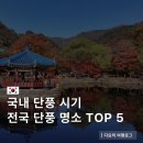 북면385 | 국내 단풍 여행 시기 전국 단풍명소 TOP 5