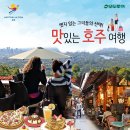 모두항공여행사 - 3240 | 모두항공여행사