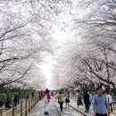 진해중앙고삼거리 이미지