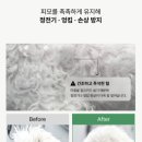 목욕의 정석 | 닥터블랭크 저자극 올인원 강아지 샴푸 새끼강아지 보습 목욕 베이비파우더, 500ml, 1개