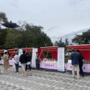 별빛촌 이미지
