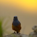 노을과 바다 이미지