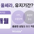 링클성형외과의원 네이버블로그
