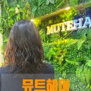 강선마을(중) | 일산 염색 전문, 뮤트헤어 방문 후기 (강선마을·주엽·밤가시마을 근처)