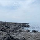 9월12일~14일/2박/제주 이미지