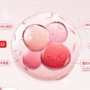 영헤어라인 Daum카페