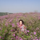 합천군청 쉼터 이미지