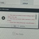 여름 안티의 일상