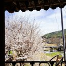 민들레울 | 대구근교 예쁜카페 거창 민들레울 카페