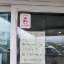 제주배또롱 이미지