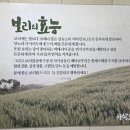 이삭보리밥 이미지