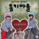 홍천어린이집 | 홍천 아이와 가볼 만한 곳 동키마을 당나귀 타기 체험 솔직 리뷰