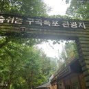 구곡1천 이미지