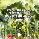 영일농장 이미지